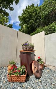 Galeriebild der Unterkunft Ferienwohnungen Brenner einchecken und wohlfühlen in Langenbernsdorf