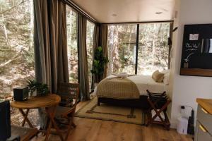 a bedroom with a bed and a large window at Modern Mirror Home w/ Hot-tub | “Glass House” #2 in High Falls