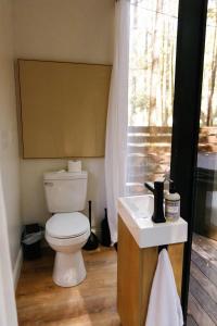 a bathroom with a toilet and a sink and a window at Modern Mirror Home w/ Hot-tub | “Glass House” #2 in High Falls