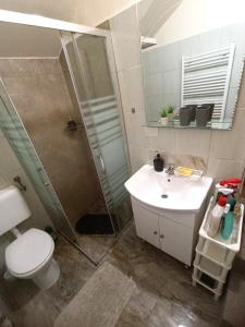Ένα μπάνιο στο Apartman Petra