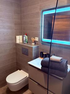 a bathroom with a toilet and a sink with a blue light at Gîtes Hassenforder in Kaysersberg +64 photos
