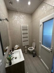 a bathroom with a sink and a toilet and a window at Moin Apartment in Sibiu