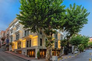 a tree in front of a building on a street at Grand Naki Hotel in Istanbul