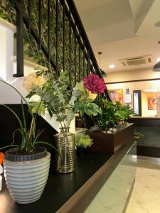Fotografie z fotogalerie ubytování Hotel Dei Tartari v destinaci Guidonia