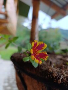 Fotografie z fotogalerie ubytování Soñarte Vital v destinaci Córdoba