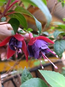 Fotografie z fotogalerie ubytování Soñarte Vital v destinaci Córdoba