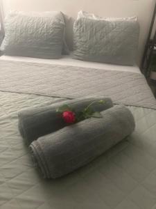 a bed with two pillows and a rose on it at Casa Vagon Villa Janer in San Lorenzo