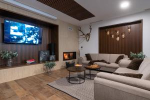 TV a/nebo společenská místnost v ubytování Apartment and Rooms Resort Stribor