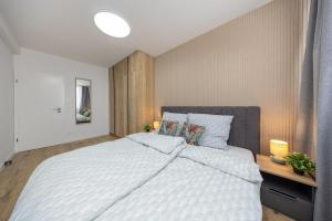 Postel nebo postele na pokoji v ubytování Medená Luxe Residence - 2BR Old Town & Bratislava