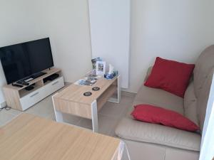 Μια τηλεόραση ή/και κέντρο ψυχαγωγίας στο Le 7 - Appartement 2 pièces au calme en bord de rivière, wifi et parking privé gratuit