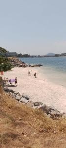 a group of people and dogs on a beach at Apê da Terezinha in Rio de Janeiro