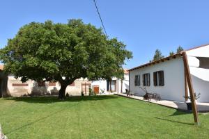 a yard with a tree and a white house at Il Vecchio Casale B&B in Sedini