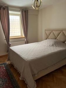 ein Schlafzimmer mit einem großen weißen Bett mit einem Fenster in der Unterkunft Daisy in Užice