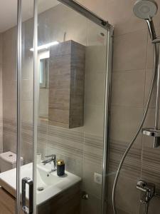 ein Badezimmer mit Dusche und Waschbecken in der Unterkunft Daisy in Užice + 10 Fotos