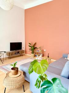 布达佩斯Churri Downtown - with Garage的客厅里有一张沙发和一台电视