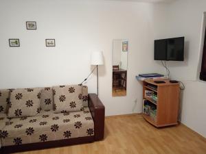 a living room with a couch and a flat screen tv at Vesela vila in Sutomore
