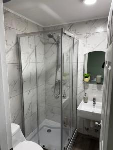 Un baño con ducha, inodoro y lavabo. en Departamento Studio Full 109, en Osorno