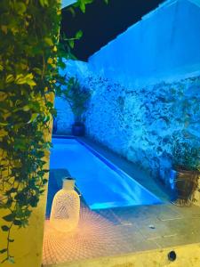 Piscine de l'établissement La maison du Bougainvillier 10 personnes ou située à proximité