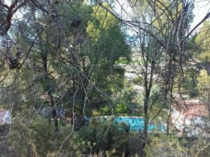 Πισίνα στο ή κοντά στο Buenas vistas y privacidad, tranquila y fresca villa en el bosque de Valencia con una magnífica piscina de 80m2
