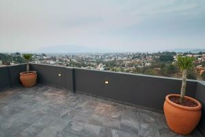 a balcony with two potted plants on the roof at Palmas Luxury Apartment 106 in Oaxaca City