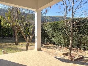 エル・ロデオにあるEl descansoの犬が木々のあるパティオに座っている