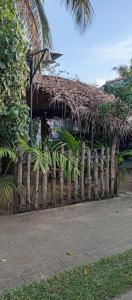 Zahrada ubytování Beni Beach Resort Batticaloa, Sri Lanka