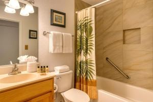 KBM Resorts FREE CAR Napili Point Ocean view 2-Bedroom Condo Includes Beach Gear Kids Amenities NAP-C37的一间浴室