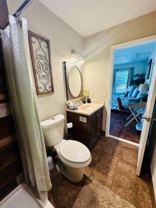 a bathroom with a toilet and a sink and a mirror at Serenity Gardens private guest suite in Historic Lutz in Lutz