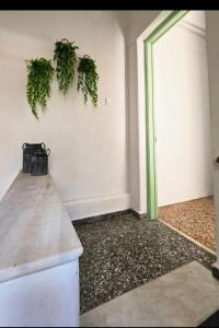 ガラタスにあるSaronic studios 1のカウンターと壁に植物が飾られた部屋