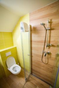 uma casa de banho com um WC e uma cabina de duche em vidro. em Apartments Kvasničník em Demanovska Dolina
