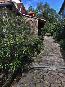 a stone path next to a house with bushes at Apartma Istra Zora in Sečovlje
