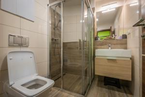 Kúpeľňa v ubytovaní Apartment Vanessa - Tatranská Lomnica