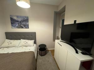 Un dormitorio con una cama y un televisor de pantalla plana. en Chamonix city center rue Paccard, en Chamonix-Mont-Blanc