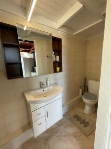 Koupelna v ubytování Amalthea Serenity Suite