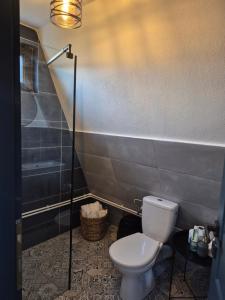 a bathroom with a toilet and a shower at Tiny House in Peştera