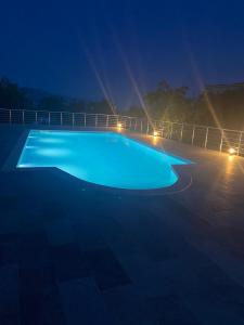 Billede fra billedgalleriet på Apartments Wild Beauty - Krimovica i Budva