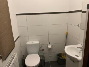 Koupelna v ubytování Całoroczny ośrodek domków Krasno w Krasnobrodzie + 11 fotografií
