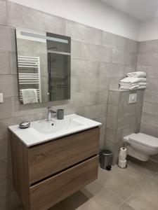 a bathroom with a sink and a toilet at Appartement sur la plage in Casaglione