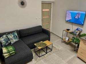 TV a/nebo společenská místnost v ubytování Loket Island