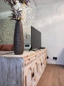 TV a/nebo společenská místnost v ubytování Apartamentos De la Haya & Suite con Jacuzzi, junto al Teatro Romano