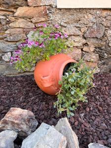 an orange pot with flowers in it next to a stone wall at MirakostaCB in Castelo Branco