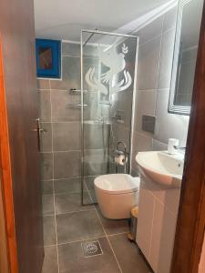 a bathroom with a shower with a toilet and a sink at Occasus Room in Halki