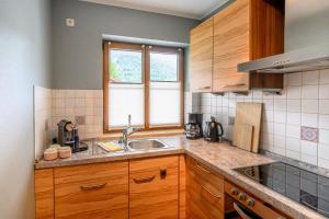 Kuchyň nebo kuchyňský kout v ubytování Das Bergquartier - Ferienwohnung Rabenkopf