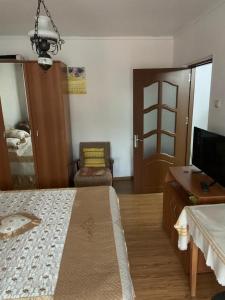 a bedroom with a bed and a desk and a tv at Garsonieră Băile Govora in Prăjila
