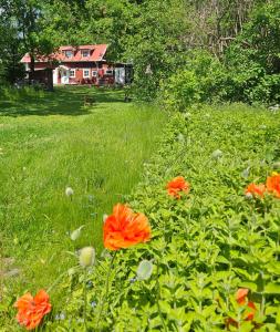 Zahrada ubytování Ranch Mörby
