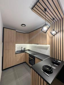 Kuchyň nebo kuchyňský kout v ubytování Apartman Sanja