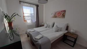 Postel nebo postele na pokoji v ubytování Bíbic Apartman D