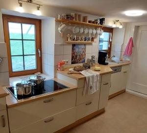 a kitchen with a counter top with pots and pans at Ferienhaus am Rosengärtle - Black Forest - Forêt Noire in Kleines Wiesental