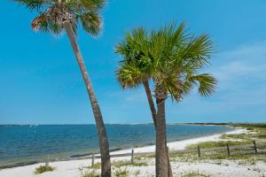 two palm trees on a beach near the water at Sunset Heaven in Navarre