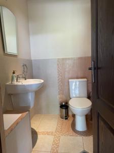 a bathroom with a toilet and a sink at GeshaHillPark villas 55 in Dryanovo +20 photos